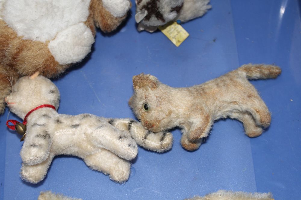 A group of assorted vintage soft toy cats including Steiff